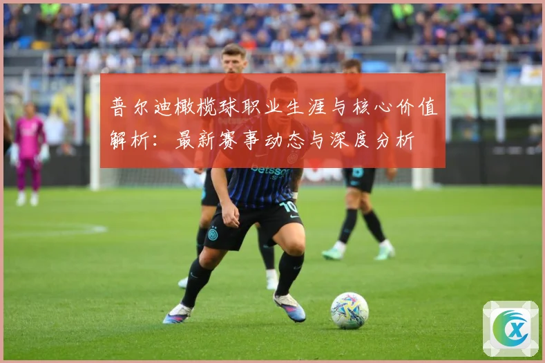 普尔迪橄榄球职业生涯与核心价值解析：最新赛事动态与深度分析